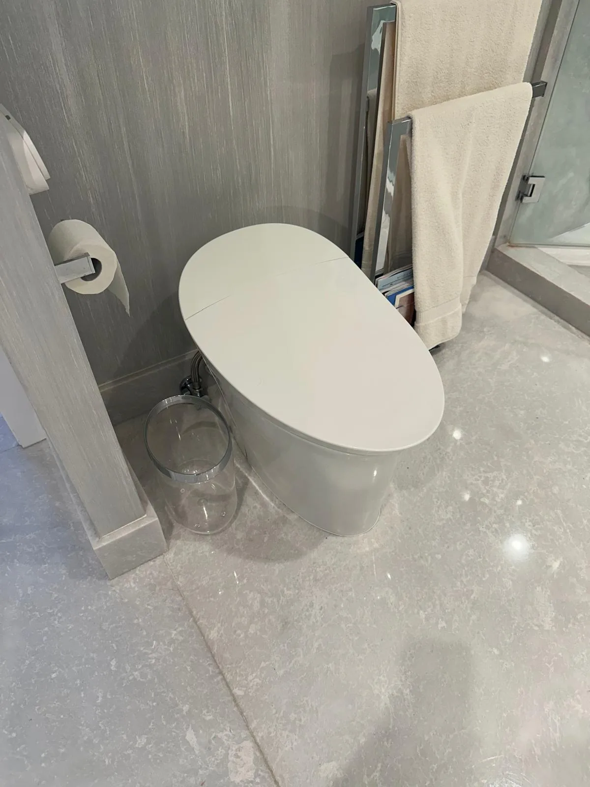 The new one-piece toilet installed on a new flange